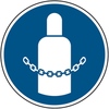 Gaszylinder sichern – ISO 7010, M046, Laminierter Polyester, 100mm, Gaszylinder sichern